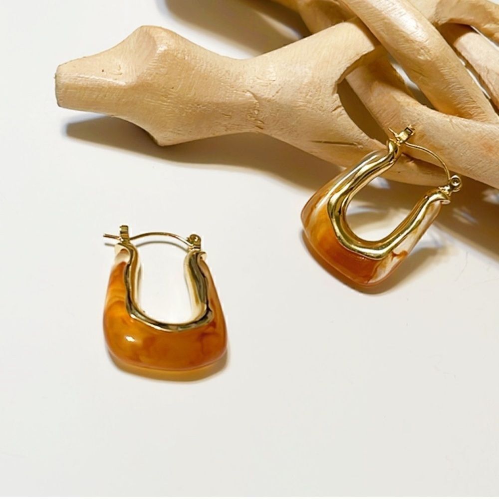 Anthro hoop earrings  #488